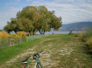 Continuing north Channel Pathway ends at Okanagan Lake, Channel Pathway 2011-10.